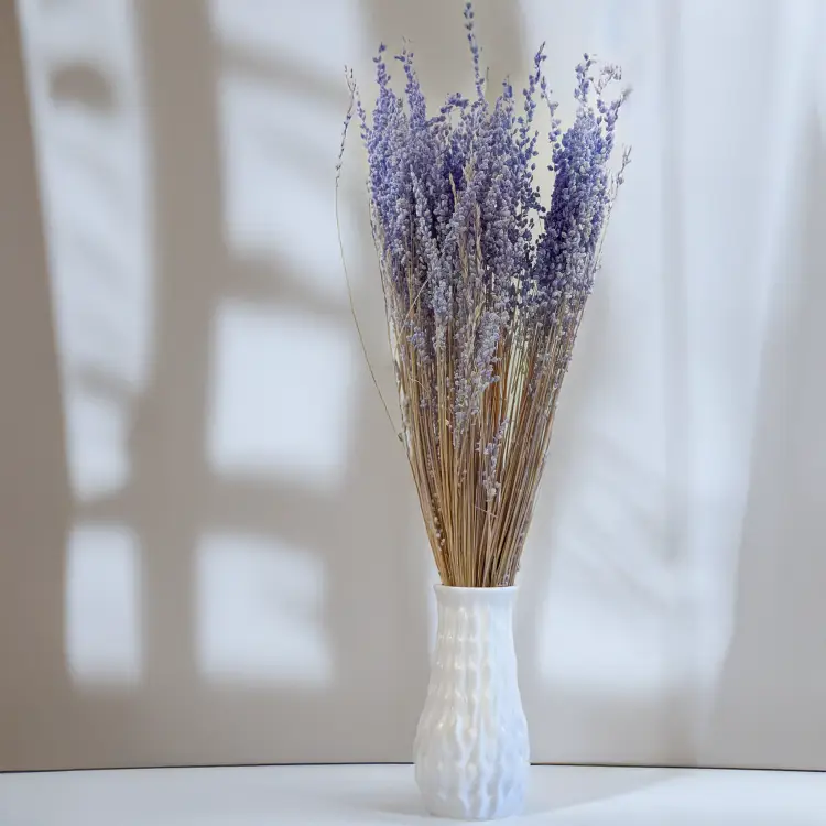 Briza minima lawendowa 3.png