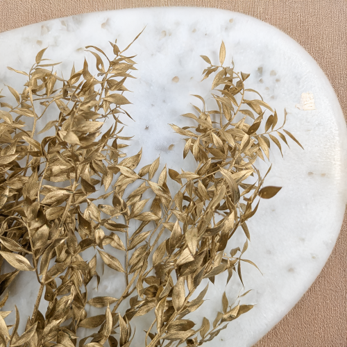 Ruskus suszony złoty 2.png