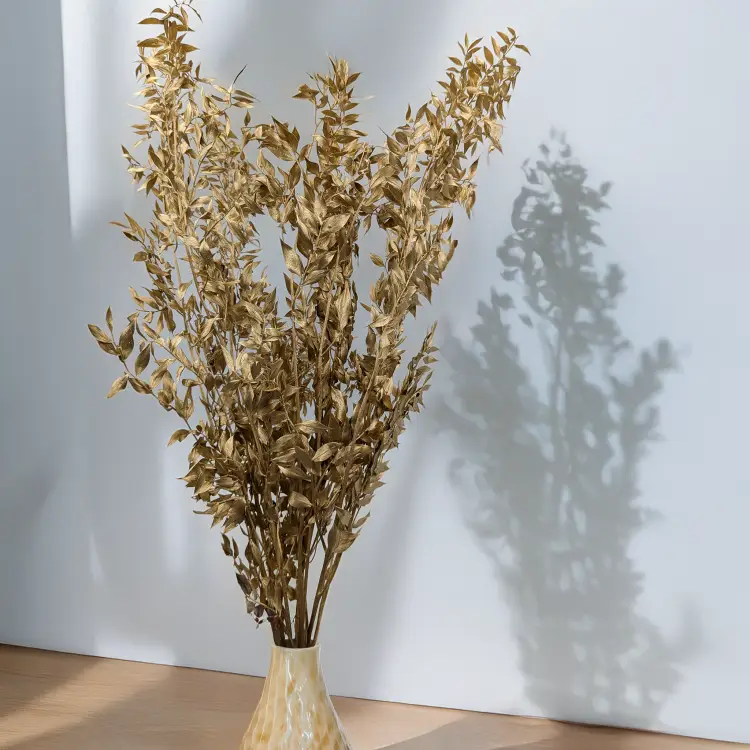 Ruskus suszony złoty 3.png