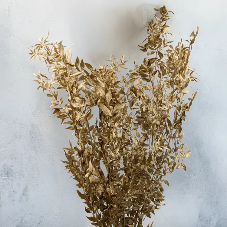 Ruskus suszony złoty 4.png