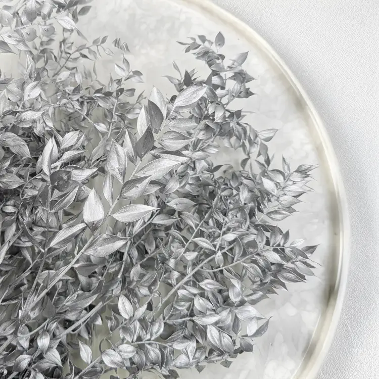 Ruskus suszony srebrny 2.png