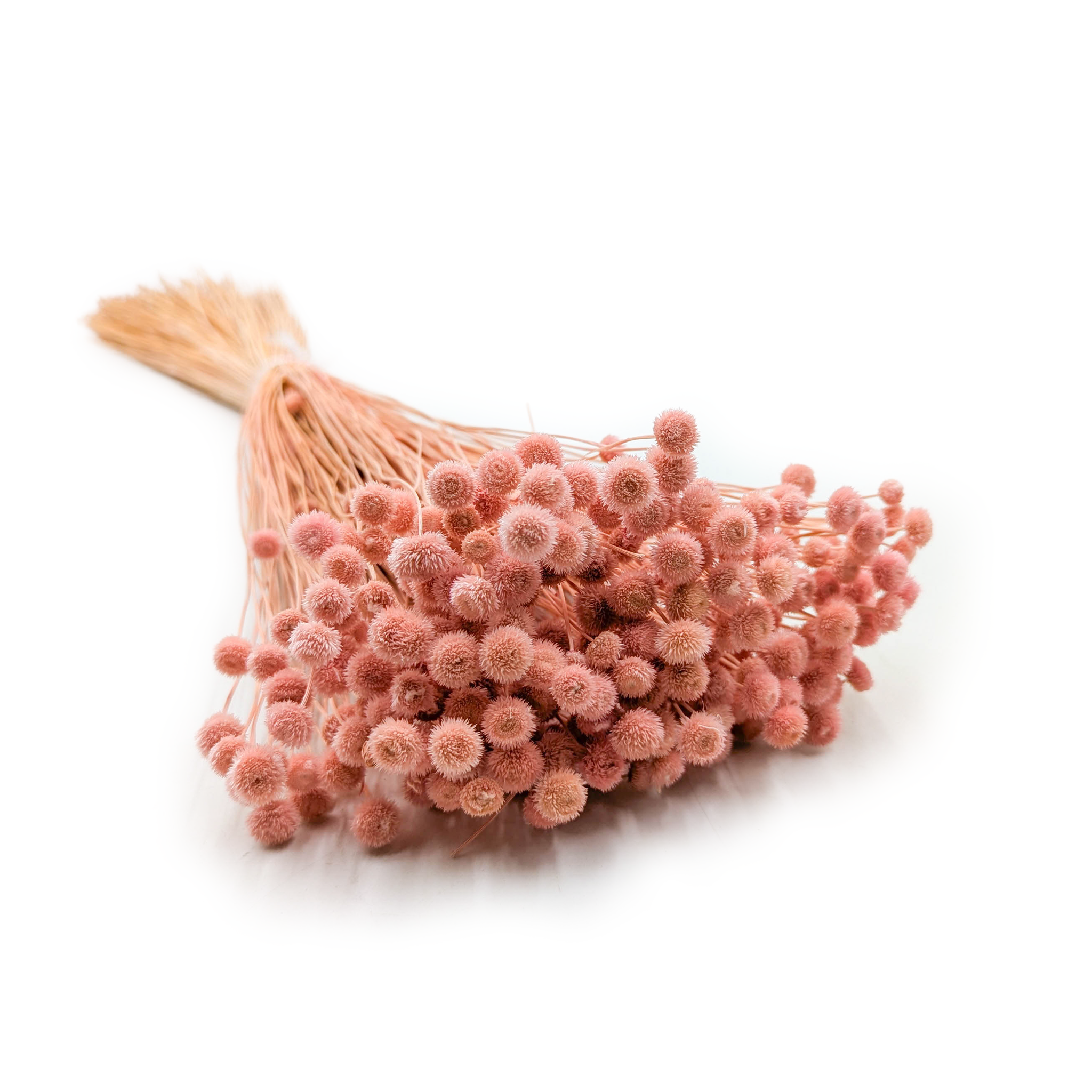 Botao Amarelino - (Amarelinho) - Pink