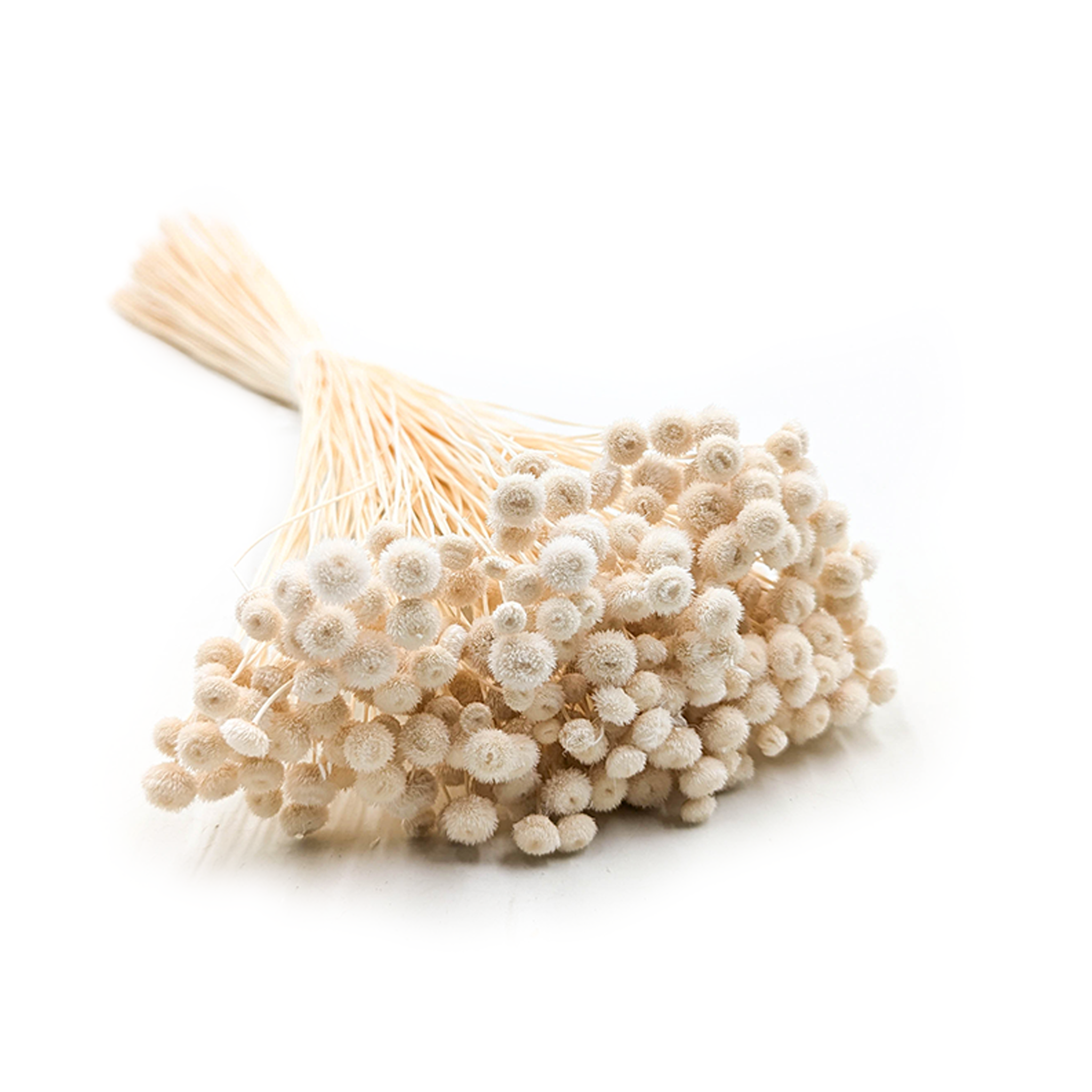 Botao Amarelino - (Amarelinho) - White