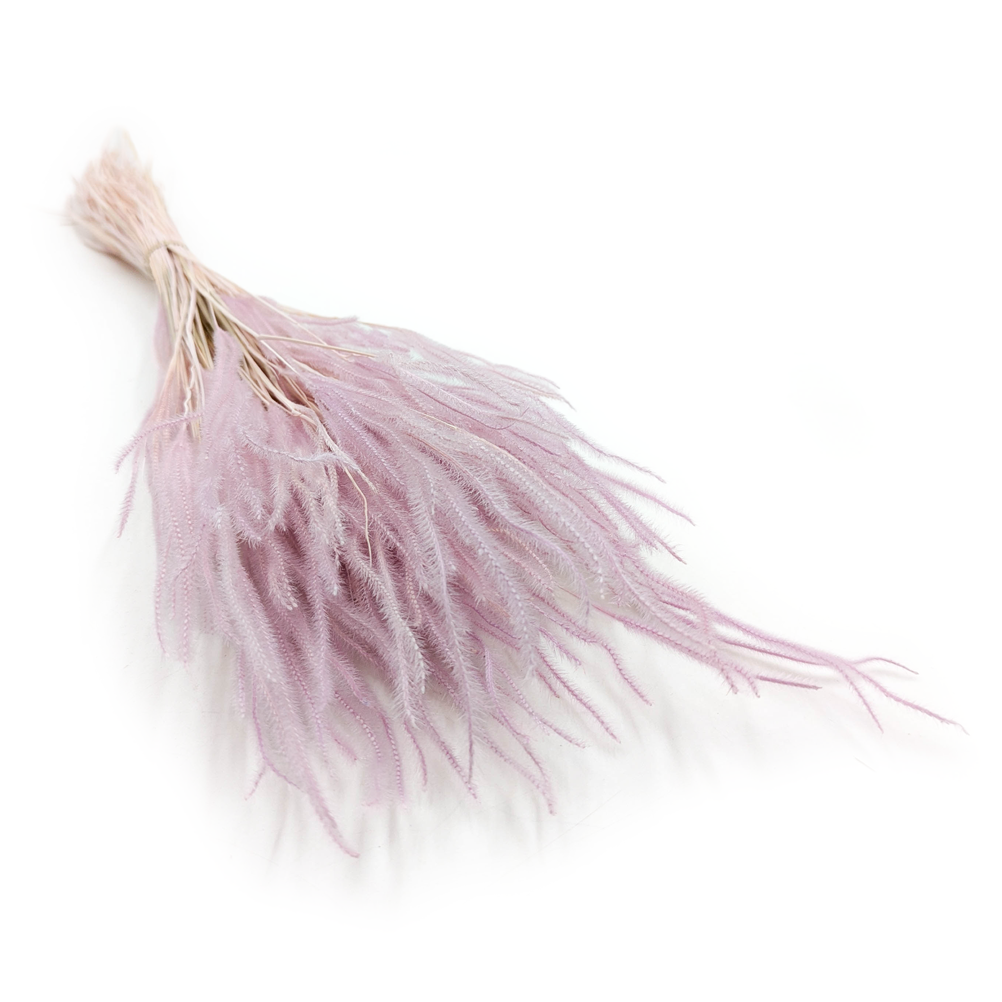 Ouro Preserved - Heather