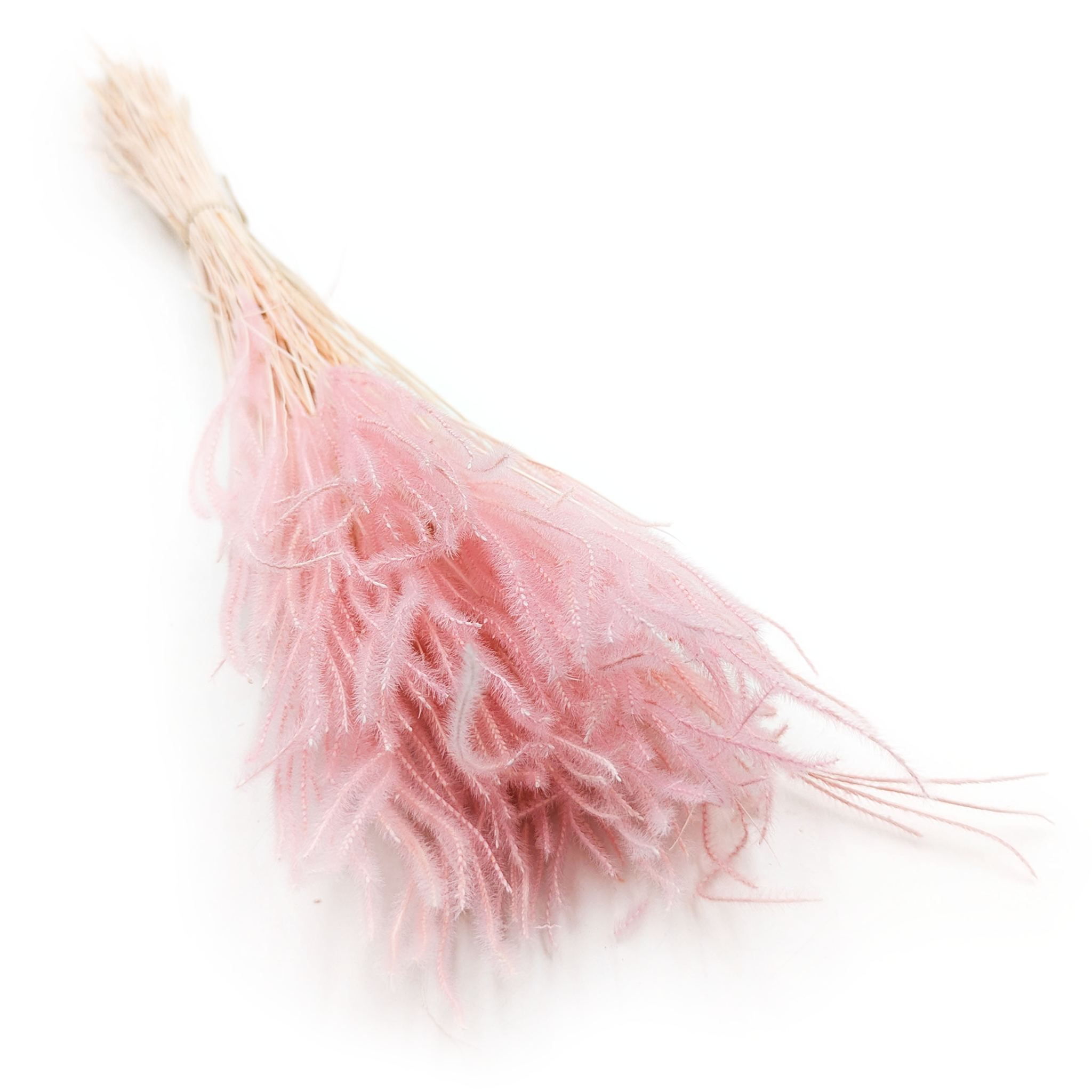 Ouro Preserved - Pink