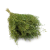 Lepidium zielone IT.png