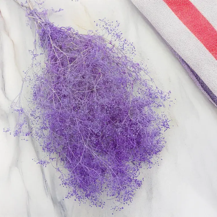 Gipsówka Mini Liliowa 2.png