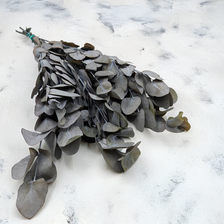 Eukaliptus Espiral Szaro-zielony IT 1.png