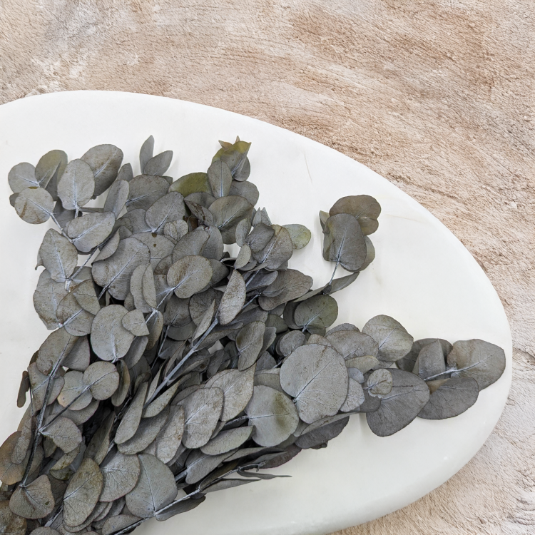 Eukaliptus Espiral Szaro-zielony IT 3.png