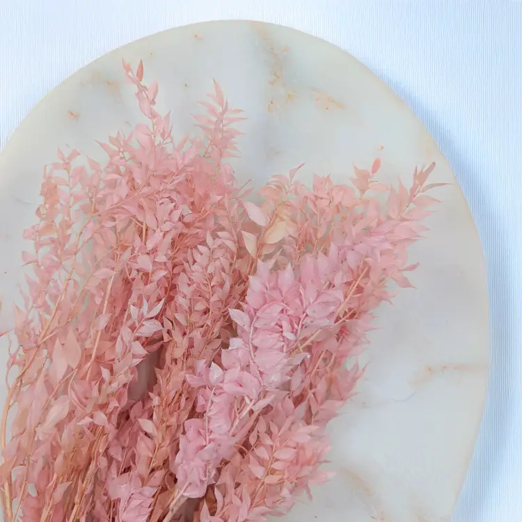 Ruskus pudrowy róż ES 2.png