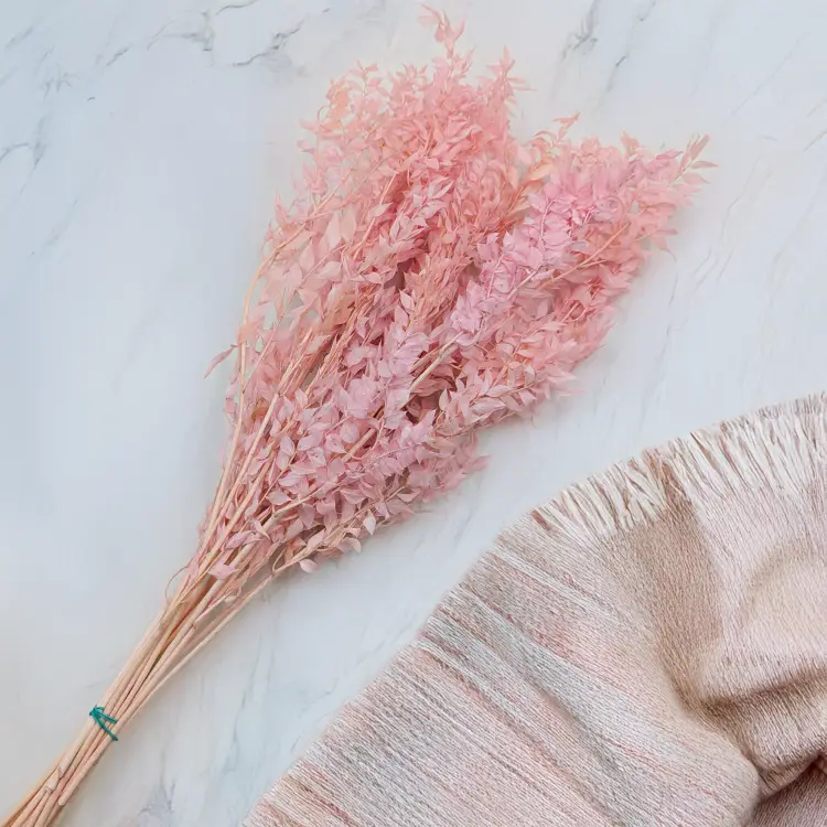 Ruskus pudrowy róż ES 3.png