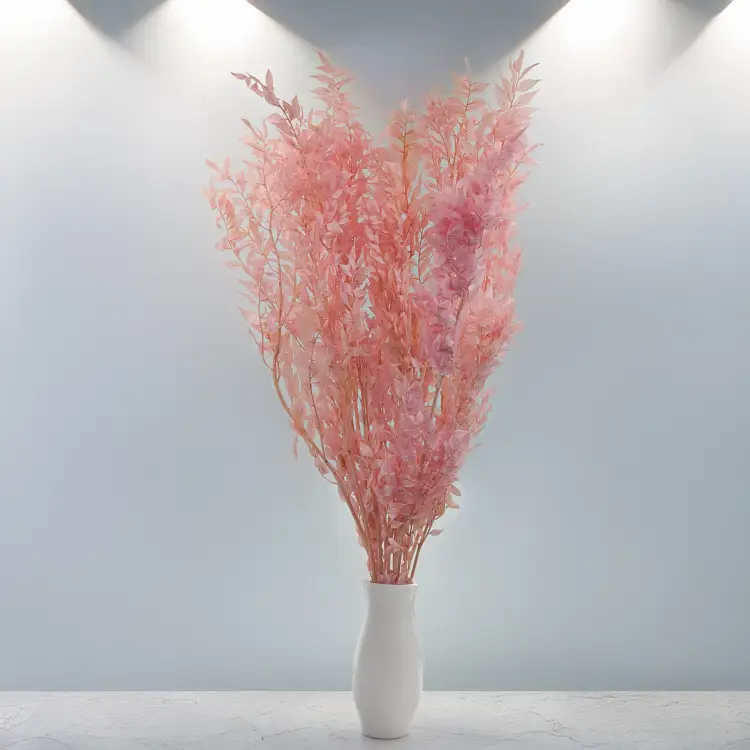 Ruskus pudrowy róż ES 5.png