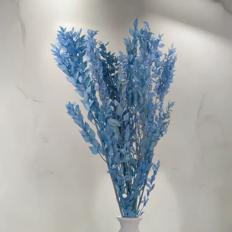 Ruskus Stalowy błękit 4.png