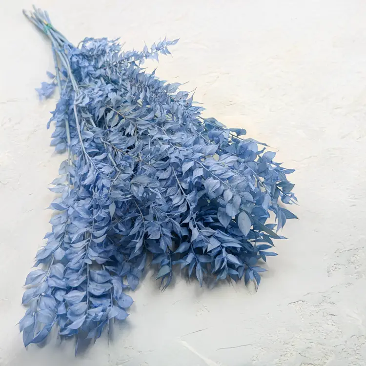 Ruskus Stalowy błękit 1.png