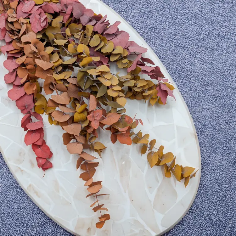 Stuartiana Jesienny LC 3.png