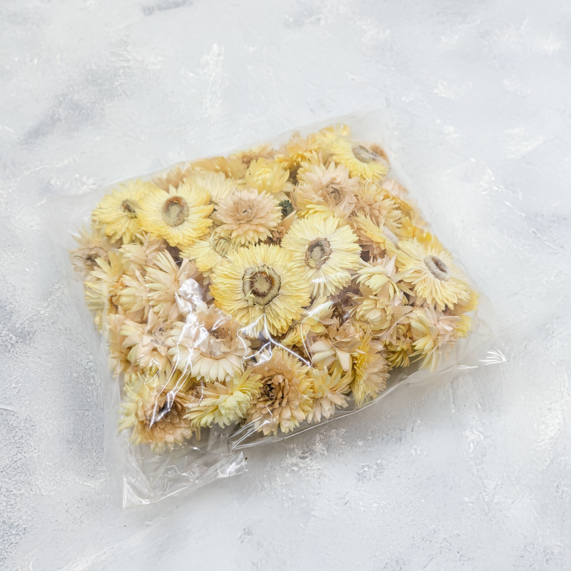 Kocanki głowki jasny zółty 3.png