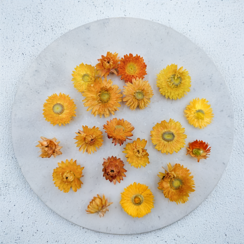 Kocanki głowki pomarancz 2.png