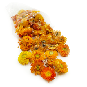 Helichrysum Dried – Heads – (Helichrysum) – Orange