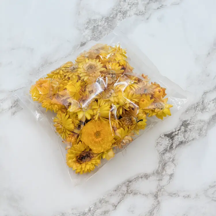 kocanka główki zółty 1.png