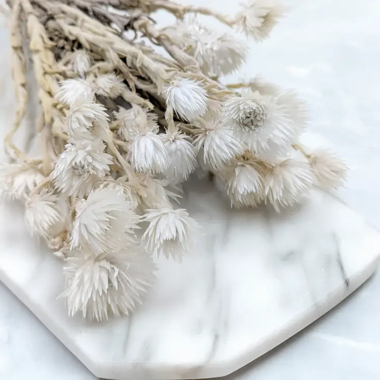 Kaaps naturalny 3.png