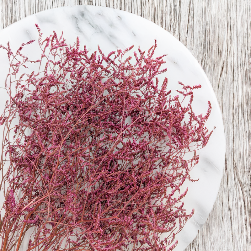 Statice Marine Vintge Pink 2.png