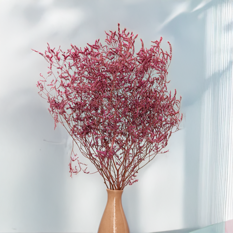 Statice Marine Vintge Pink 4.png