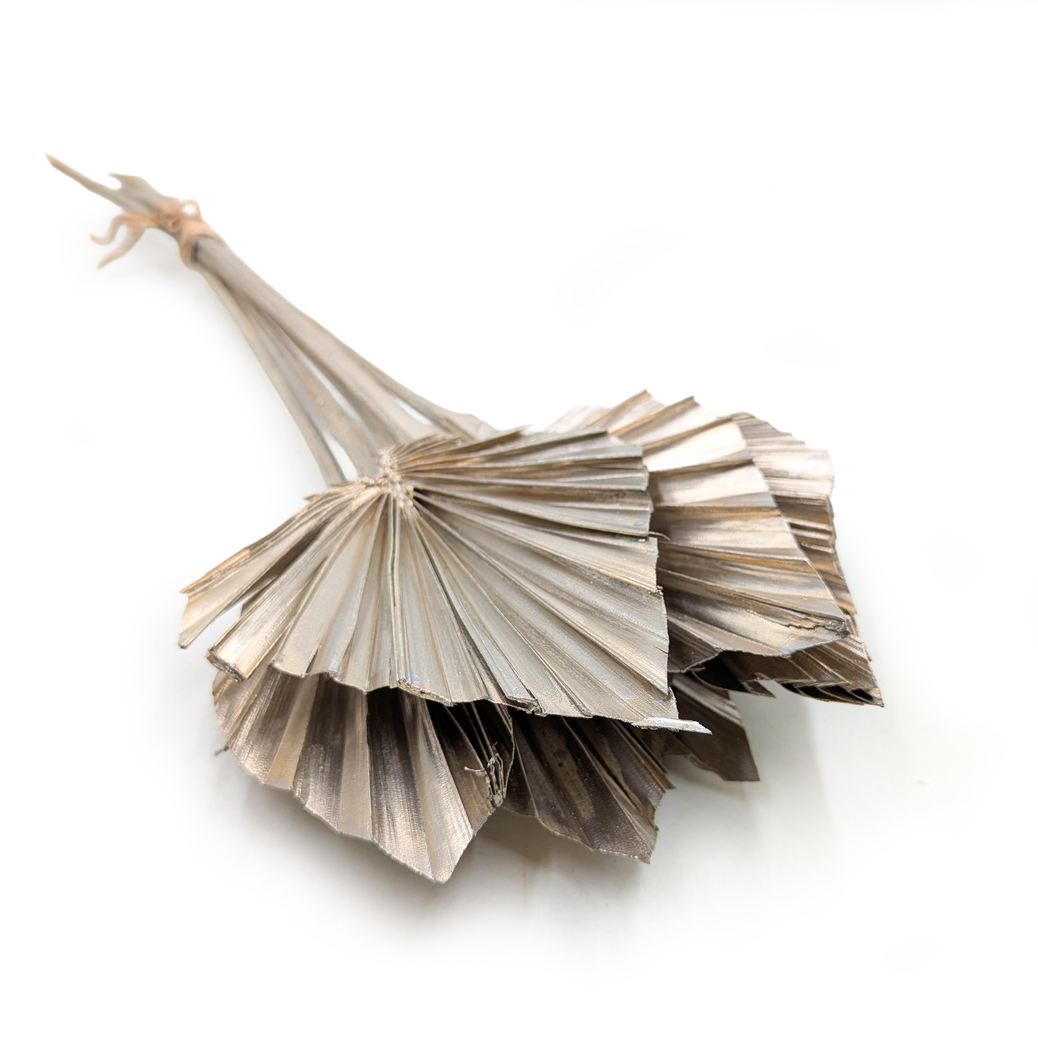 Palm Spear - Gold Platinum