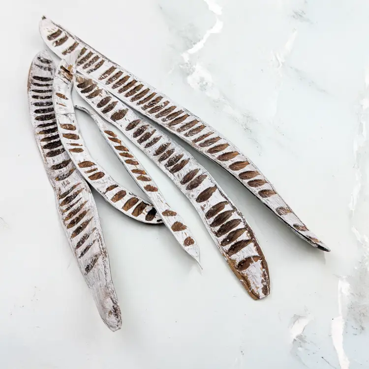 Maczeta bielona 1.png