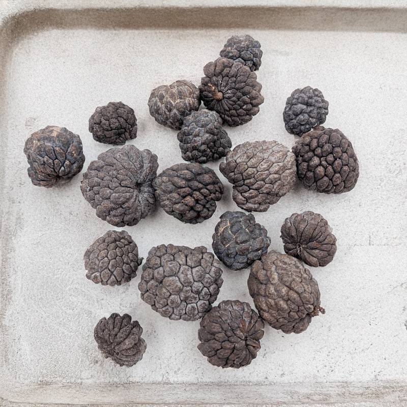 ATA FRUIT NATURAL 1.jpg