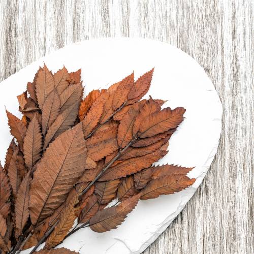 Kasztan stabilizowany - liscie - Pomaranczowy LC 2.jpg