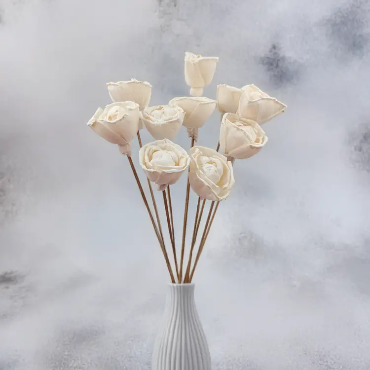 Sola Enchanted 2.png