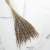 Trawa naturalna pls 1.png