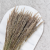 Trawa naturalna pls 2.png