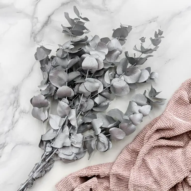 Cinerea srebrna LC 1.png