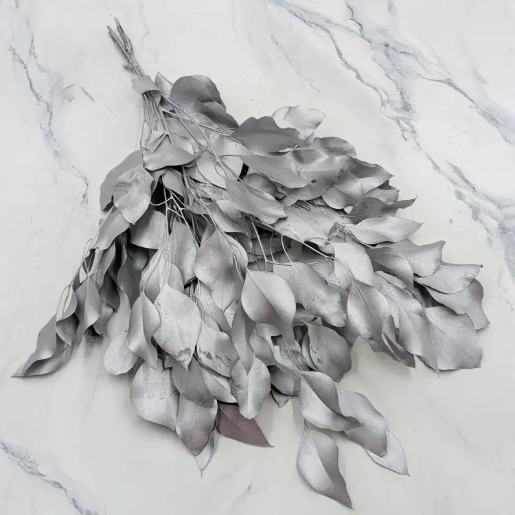 Populus silver IT 1.png