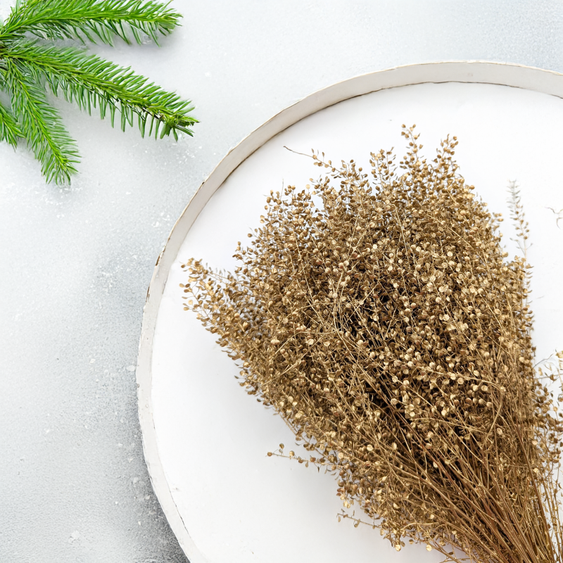 Lepidium suszone dried Gold złote 4.png