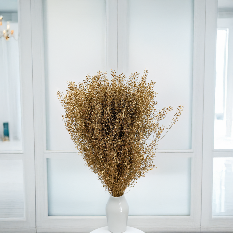 Lepidium suszone dried Gold złote 1.png