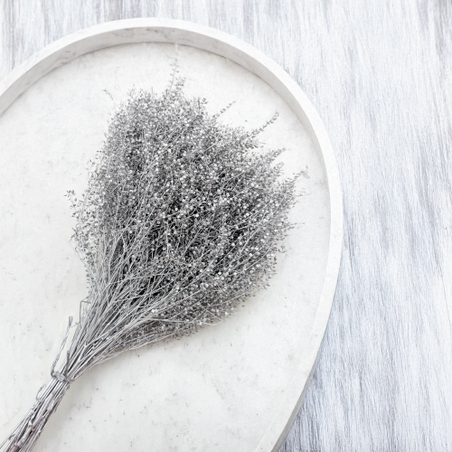 Lepidium Silver srebrne IT 4.png