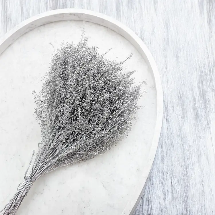 Lepidium Silver srebrne IT 4.png