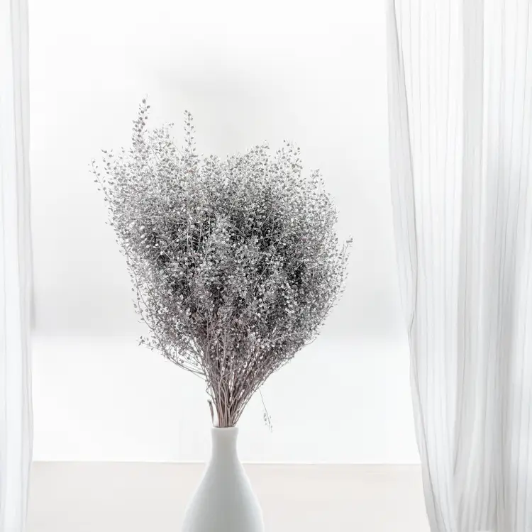 Lepidium Silver srebrne IT 2.png