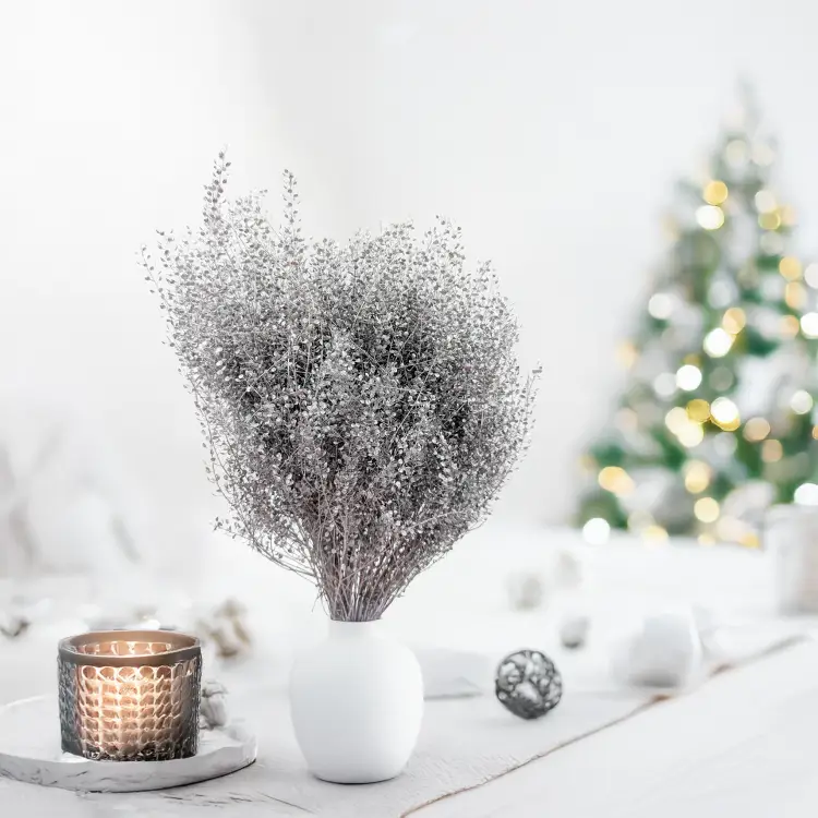 Lepidium Silver srebrne IT 1.png