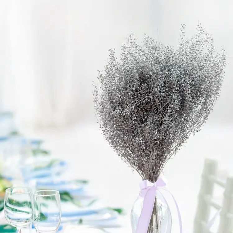 Lepidium Silver srebrne IT.png