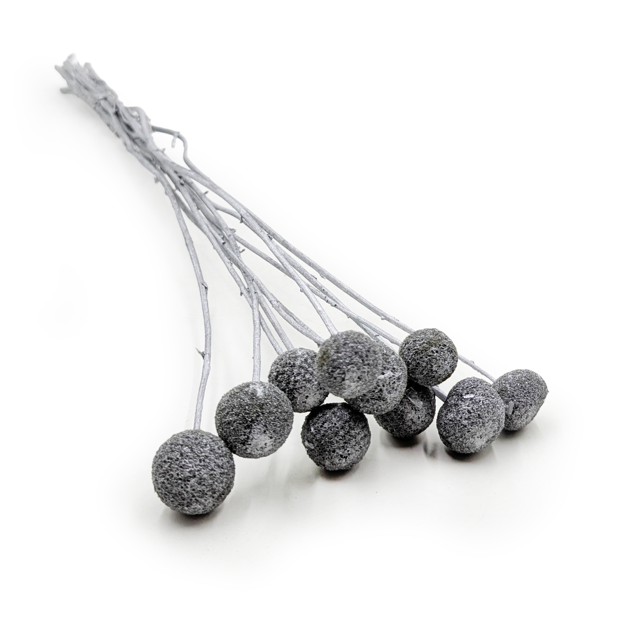 Dried Craspedia – Silver – Bouquet of 10 stems