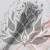 Nigella orientalis Srebrna IT 3.png