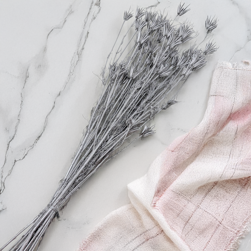 Nigella orientalis Srebrna IT 3.png