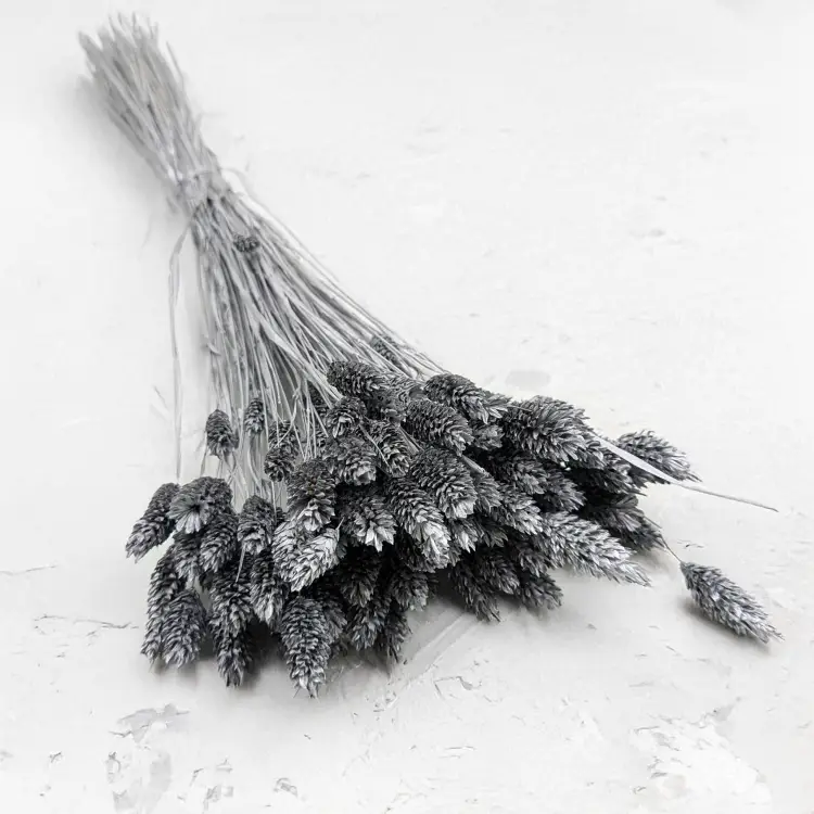 Kanar Silver IT 1.png