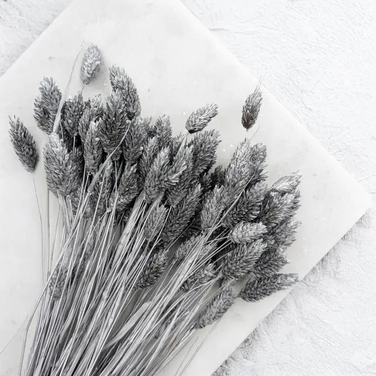 Kanar Silver IT 2.png