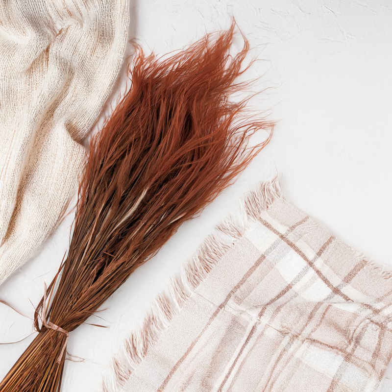 Stipa Chocolate 2.png