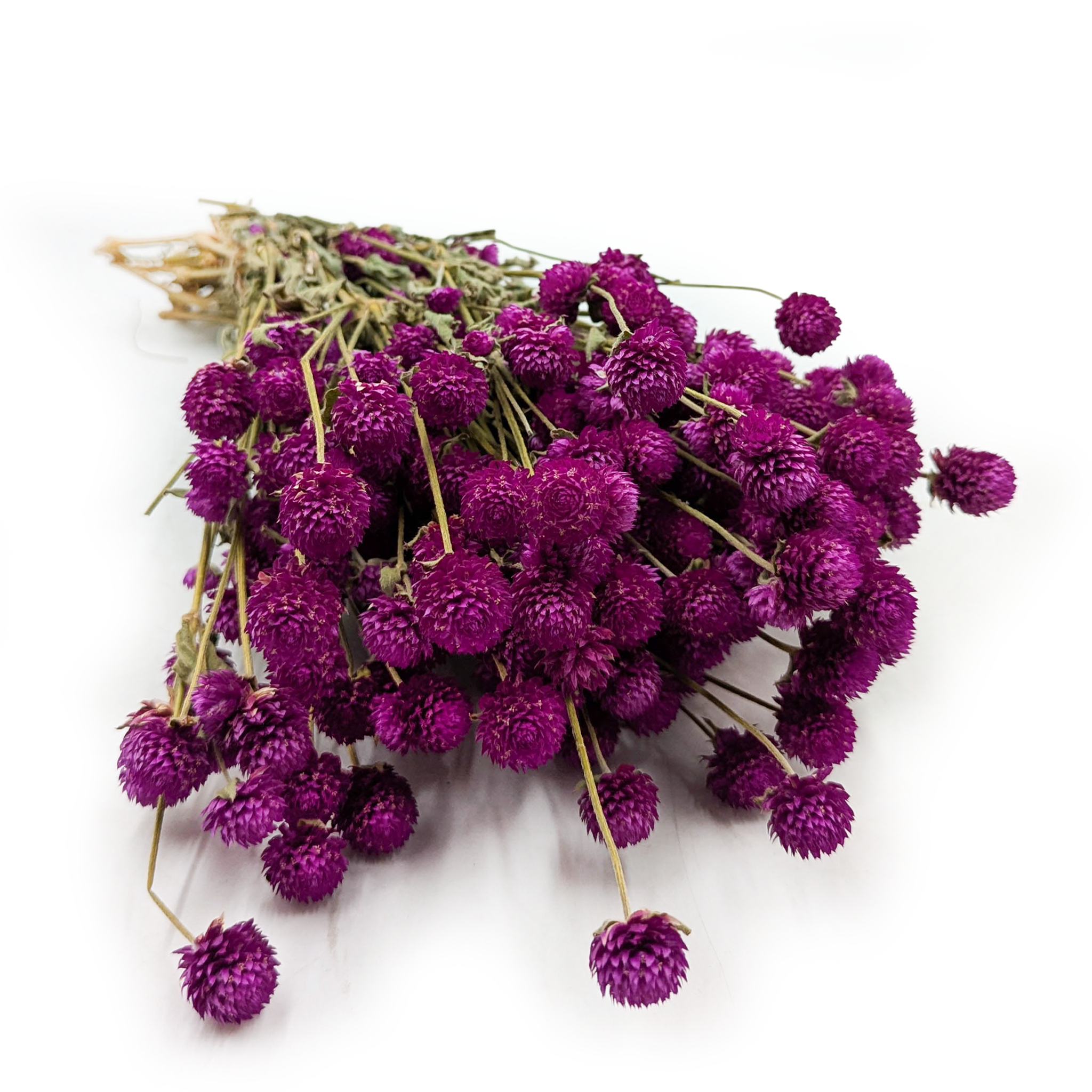 Globe Amaranth Dried - Gomphrena Globosa - Purple