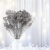 Broom Bloom Dried Silver 4.png